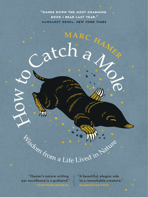 Title details for How to Catch a Mole by Marc Hamer - Available
